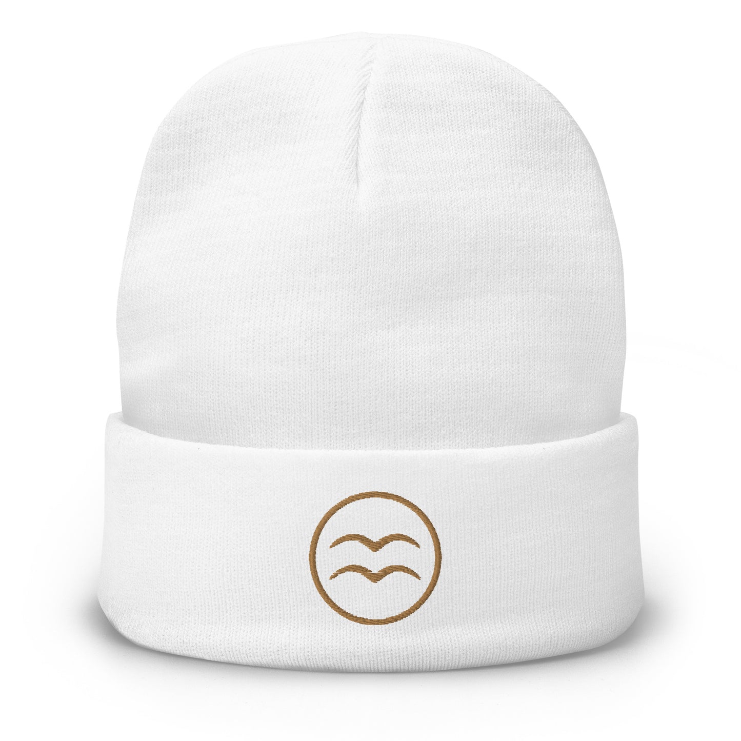 Aquarius- Embroidered Beanie