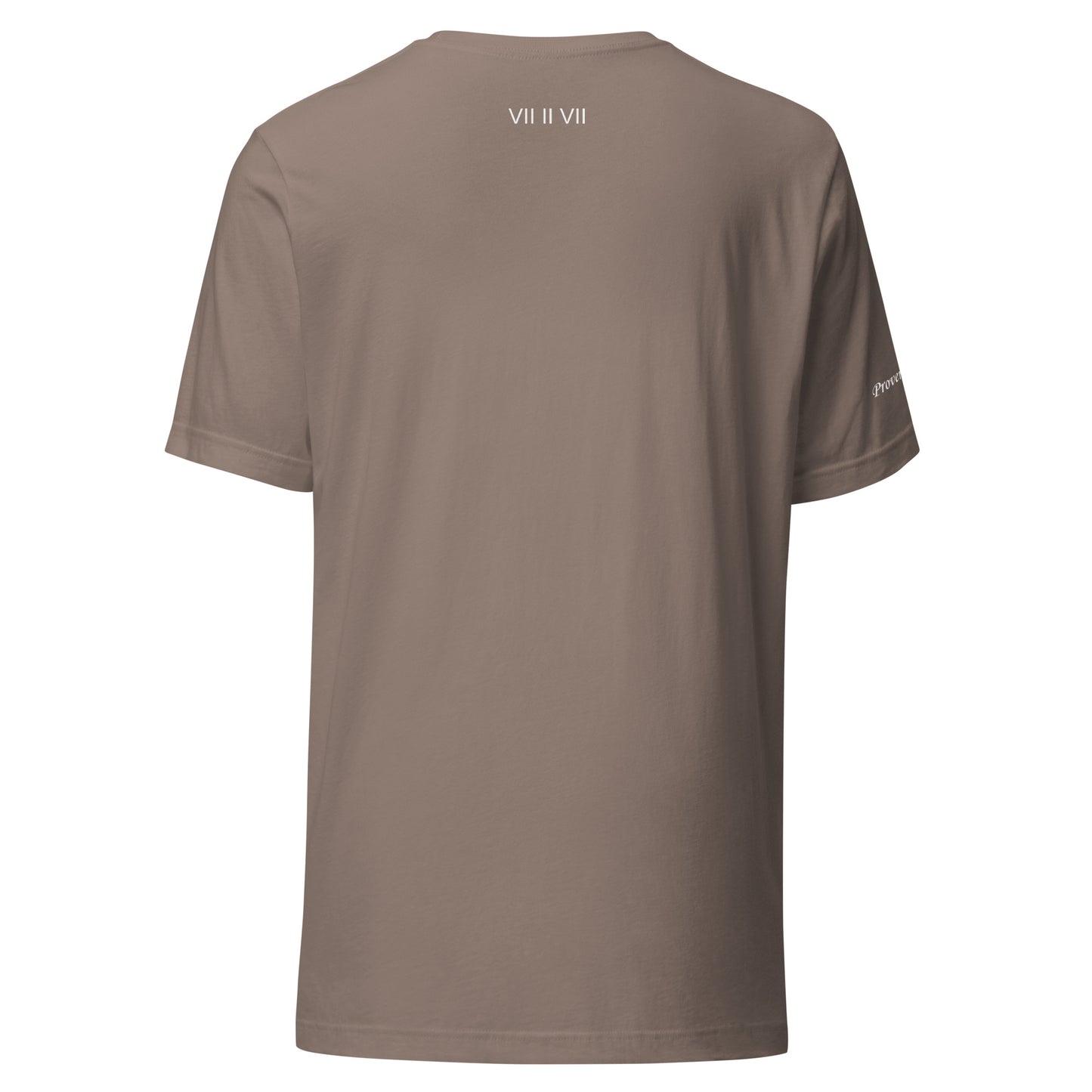 Proverbs 31:25- Tee