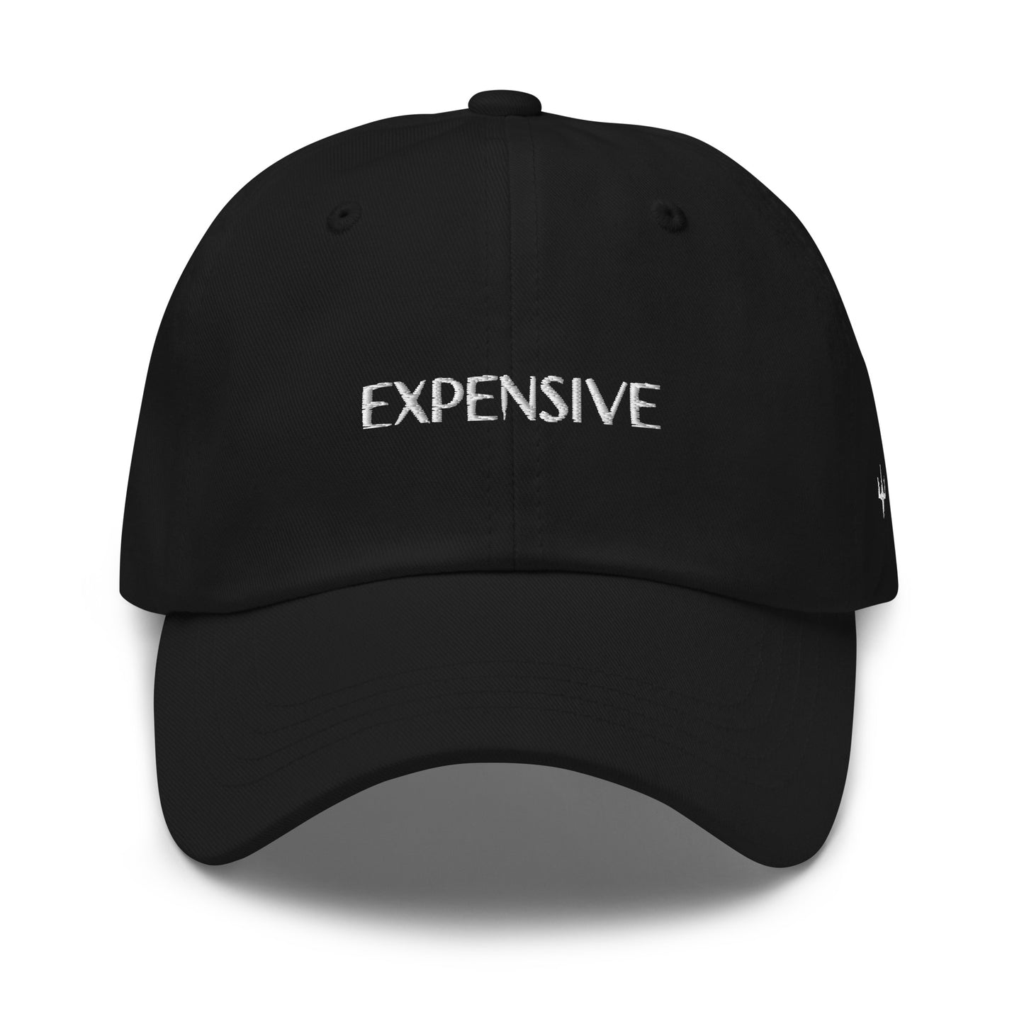 Expensive- Dad Hat