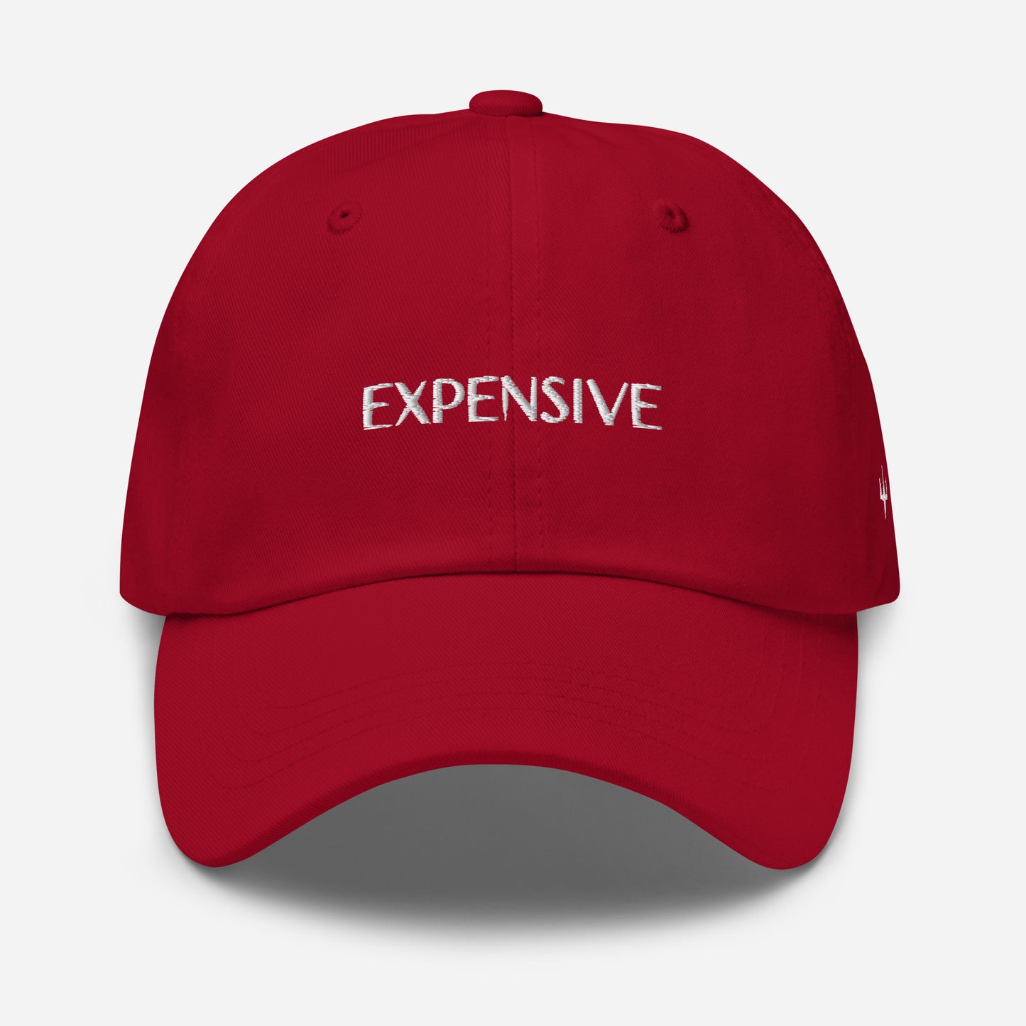 Expensive- Dad Hat