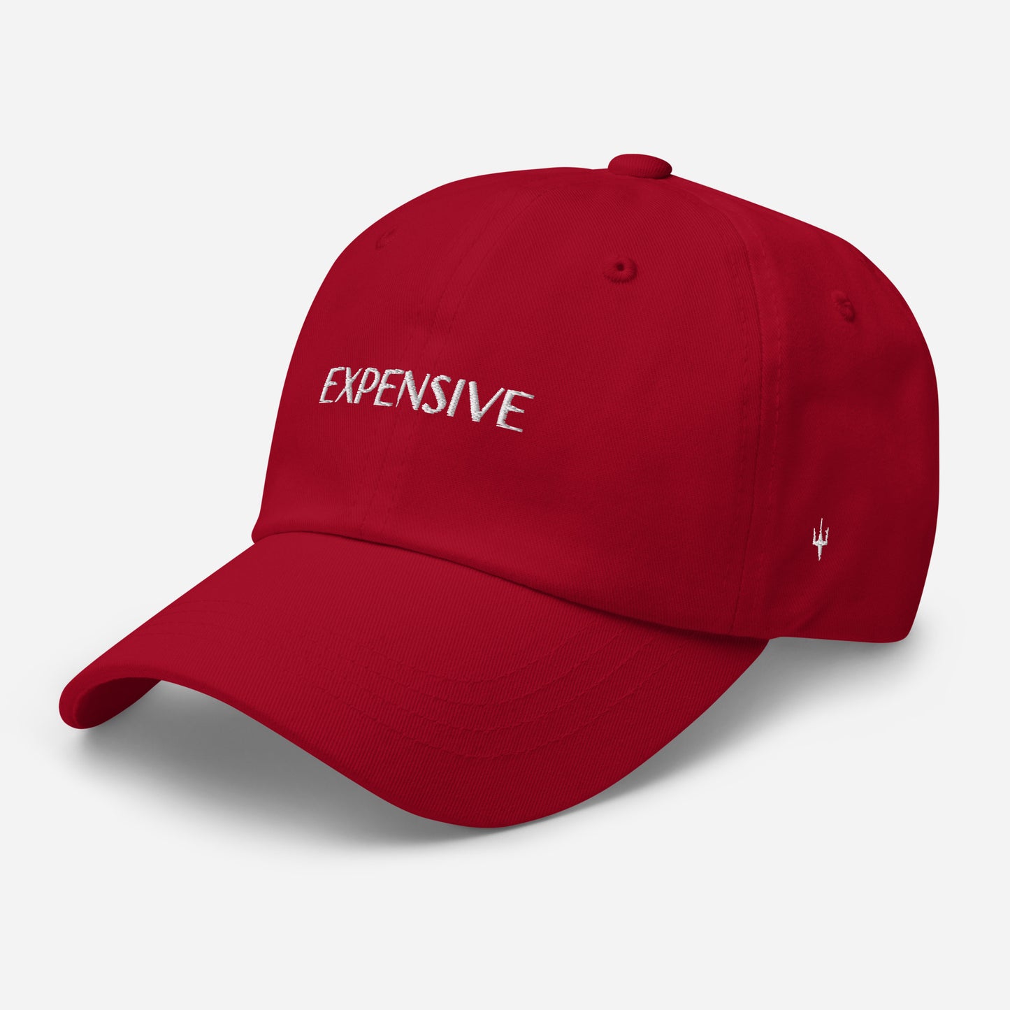 Expensive- Dad Hat