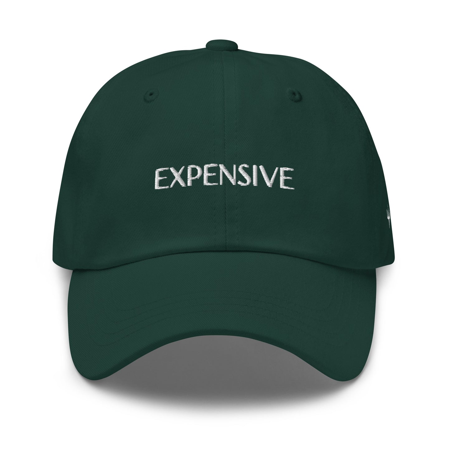 Expensive- Dad Hat
